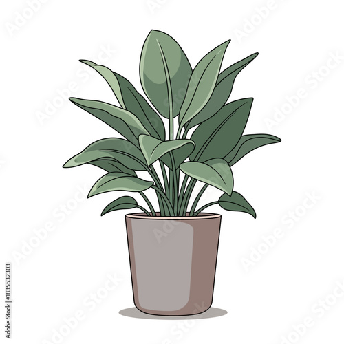 Charming potted houseplant with lush foliage adding a touch of nature's calm at home