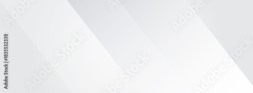 Abstract Shadow. blurred background. gray leaves that reflect concrete walls on a white wall surface for blurred backgrounds and monochrome wallpapers.