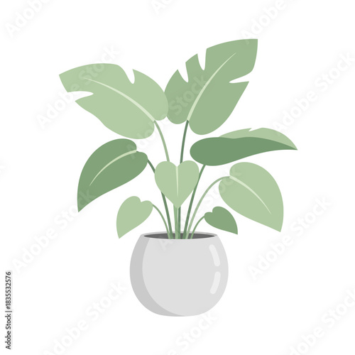 Stylized botanical indoor plant illustration in a spherical pot for decoration or icon