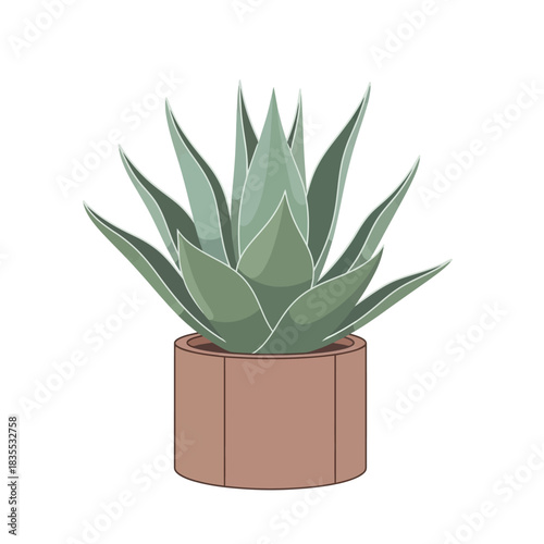 Minimalist botanical illustration of an agave plant in a terracotta pot indoors showcasing