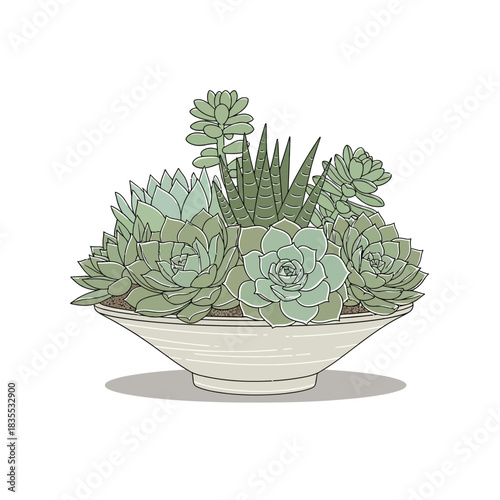 Elegant succulent arrangement in ceramic bowl showcasing nature's artistry and organic designs