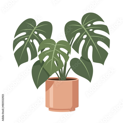 Stylized monstera deliciosa in a blush pot: a serene botanical illustration on crisp white