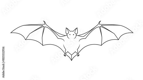Bat sketch with outstretched wings showing detail