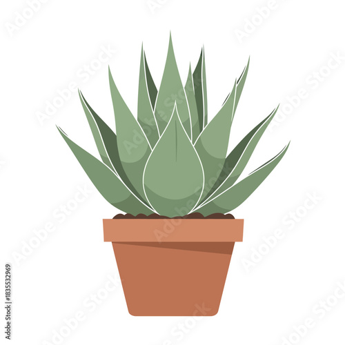 Minimalist vector illustration of potted aloe vera plant creating a natural ambiance