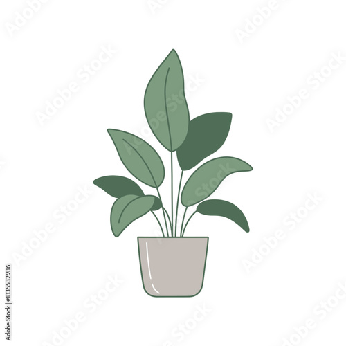 Stylized houseplant illustration presenting minimalist botanical art with subtle pastel hues and