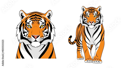 Two cartoon tigers a headandshoulders view and a full standing portrait both with orange fur and black stripes