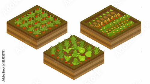 Fresh harvest from raised garden beds showing vibrant produce growing in fertile soil for healthy eating lifestyles