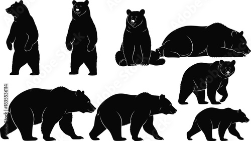 Set of vector bear silhouettes featuring wild grizzly animals standing walking sitting and sleeping isolated on white background.
