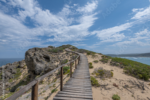 Wanderweg im Robberg Nature Reserve in Südafrika