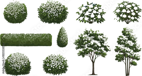 Green Garden and Park Plants Vector Illustration Set of Shrubs, Bushes, Hedges, and Trees in Various Shapes for Landscape Design and Architecture