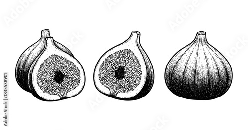 Vintage black and white drawing of fresh fig halves and whole fig