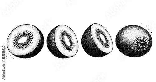 Detailed black and white cross section of whole and sliced kiwi fruit