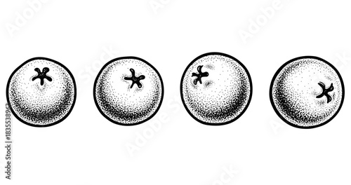 Hand-drawn black and white blueberries with detailed textures