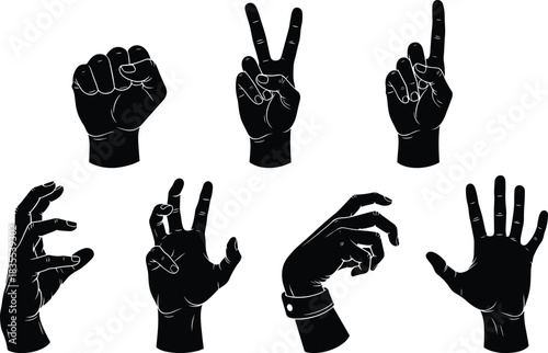 Set of black vector silhouettes of human hands showing various gestures like fist peace and reaching isolated on white background