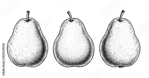 Hand-drawn pear illustration trio in black and white