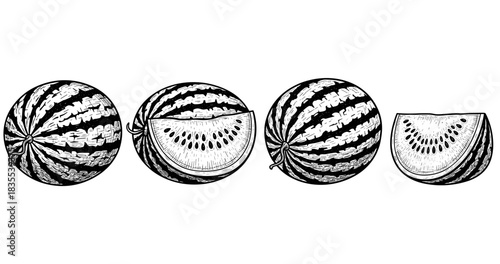 Illustrated watermelon halves and slices in black and white