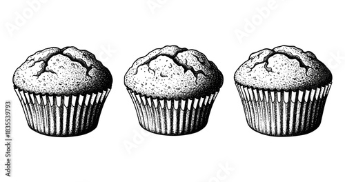 Vintage black and white illustration of three muffins in a row