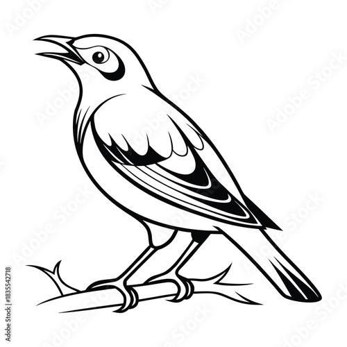 Stylized black and white illustration of a small bird perched on a thin thorny branch with its beak open. Vector
