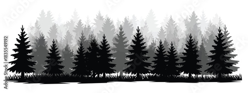 Pine Trees Silhouettes Vector Illustration Featuring Evergreen Coniferous Forest Shapes, Nature Spruce Tree Landscape Views, and Woodland Elements for Outdoor Design and Scenic Background Projects