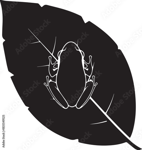  Vector silhouette frog on leaf amphibian nature wildlife illustration