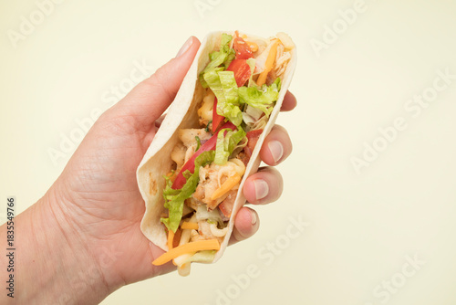 tacos with meat and vegetables - Mexican food style