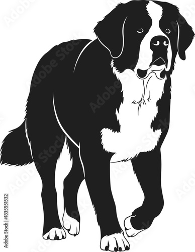 Bernese mountain dog silhouette walking pose illustration