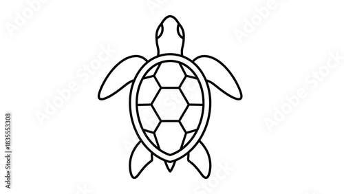 Simple Line Art Turtle with Hexagon Shell Design Illustration