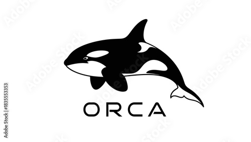 Orca Whale Silhouette Logo Design with Bold Text