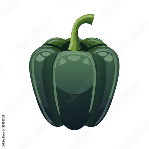 Shiny dark green bell pepper illustration, isolated.