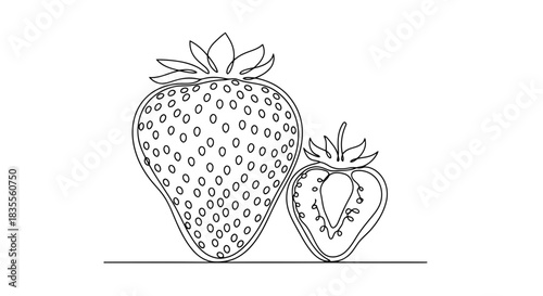 Simple one line drawing featuring a ripe whole strawberry next to a sliced half Vector