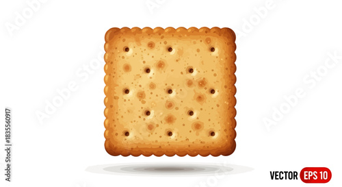 Classic square savory cracker biscuit snack food vector art. Vector