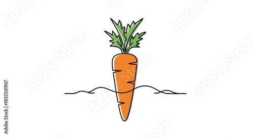 Simple continuous line art drawing of a fresh carrot with green leaves emerging from the ground Vector
