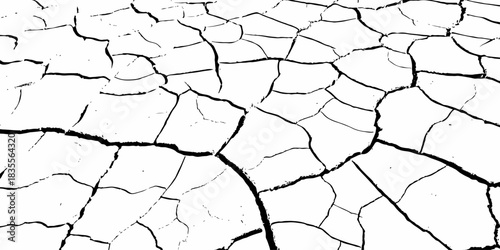 High-contrast cracked dry earth texture with bold black fractures on a white surface. Minimalist abstract background ideal for environmental themes, climate change concepts, and graphic design use.
