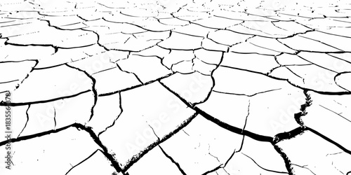 High-contrast cracked dry earth texture with bold black fractures on a white surface. Minimalist abstract background ideal for environmental themes, climate change concepts, and graphic design use.