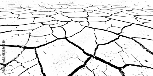 High-contrast cracked dry earth texture with bold black fractures on a white surface. Minimalist abstract background ideal for environmental themes, climate change concepts, and graphic design use.