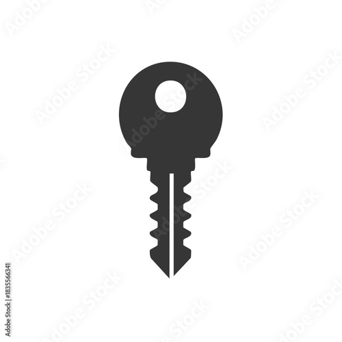 Classic dark gray key icon symbol for unlocking access security and solutions