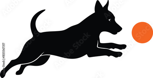 Energetic black dog silhouette leaping to catch bright orange ball in mid-air action shot isolated on white background