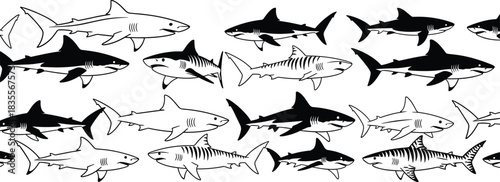 Seamless shark pattern, black and white marine predator drawing, ocean animal wildlife background, aggressive sea creature illustration, underwater border design, detailed sketch, continuous.