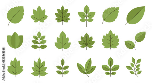 Set of eighteen different green leaf icons, showcasing various simple shapes and styles, isolated on a clean white background.