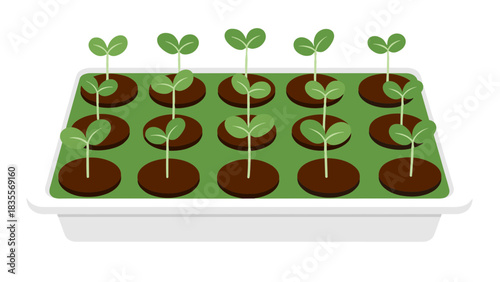 Illustration of seedlings growing in peat pellets in a tray on a green background