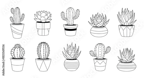 Collection of ten different cacti and succulent plants in decorative pots, illustrated in a clean and simple black and white outline doodle style.