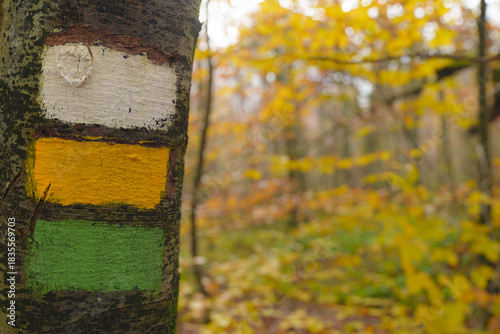Trail signage. Route of the ancient oak trees in Etxarri-Aranatz, Navarre.