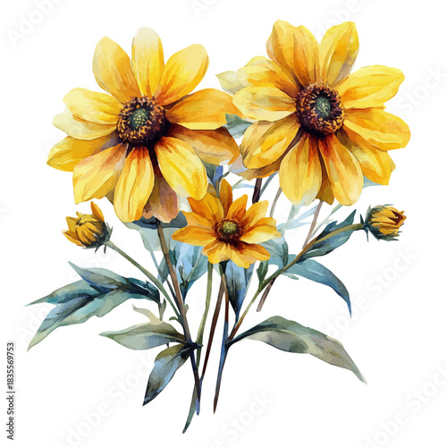 Photos Rudbeckia Flower, vibrant watercolor vector illustration with flowing and detailed brush strokes, isolated on a white background