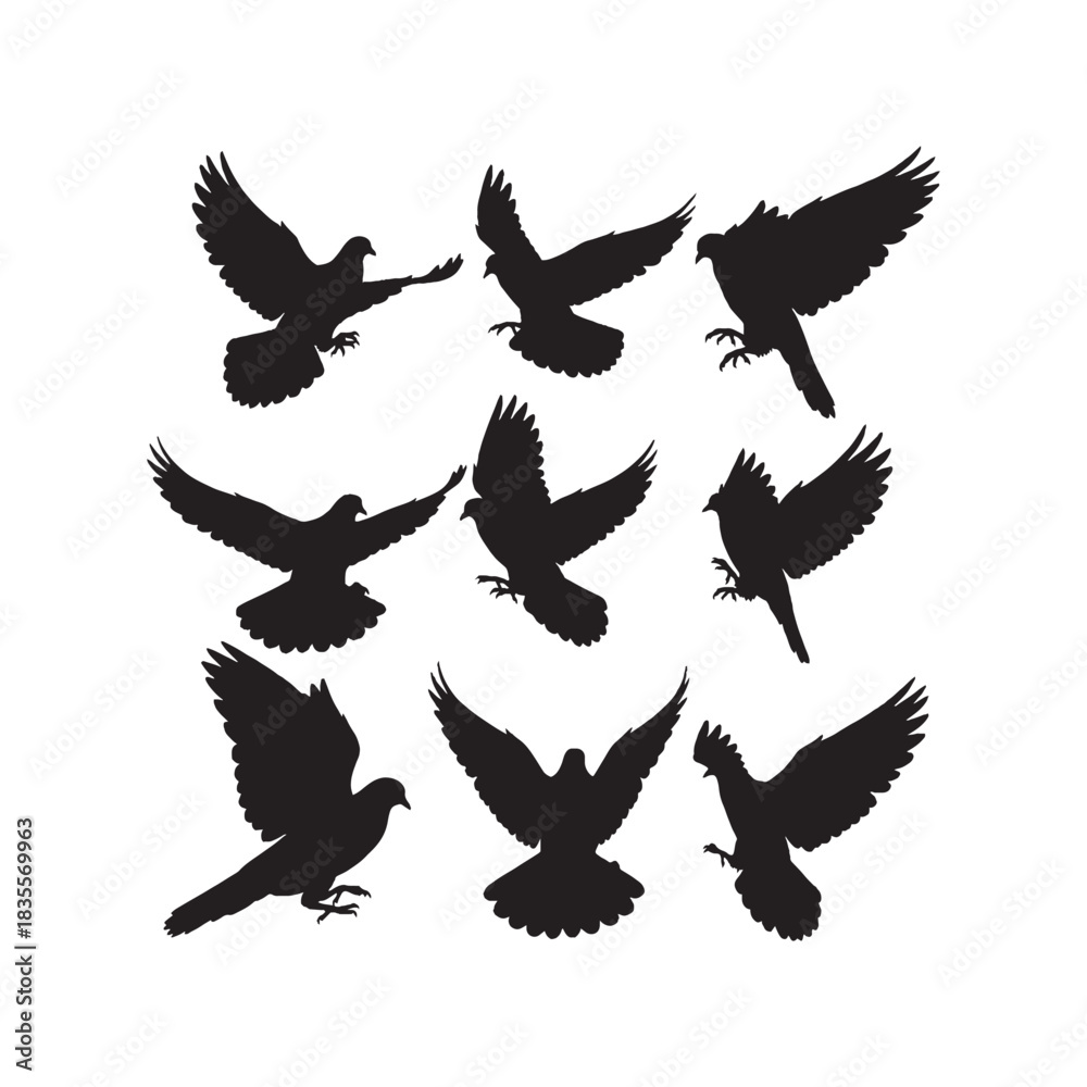 Obraz premium Dove Silhouettes Collection, Dove Silhouette, Bird Vector, Peace Illustration