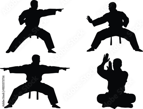 Set of Martial Arts Silhouettes, Male Figures Performing Karate and Taekwondo Katas with Punching, Blocking, and Meditation Poses for Dojo Training Vector Design Isolated.