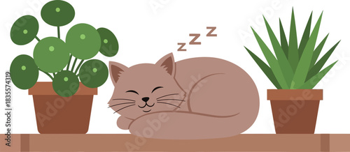 Cozy cat napping peacefully among houseplants on a wooden shelf serene domestic bliss and relaxation isolated on white background