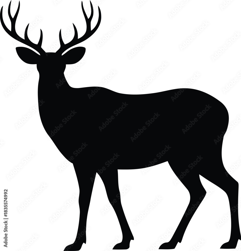 Fototapeta premium Deer silhouette majestic stag with antlers standing gracefully
