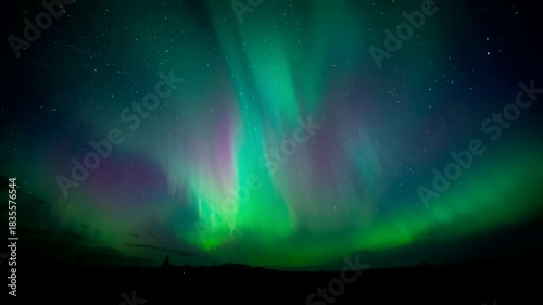 The dramatic Aurora Borealis display in the night sky. Ribbons of neon green, bright teal, and a hint of purple dance and stretch across the dark, star-studded sky.