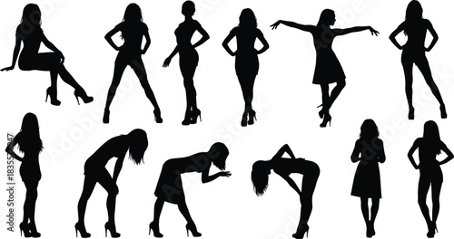 Massive Ultimate Vector Collection of Diverse Dynamic Silhouettes, Featuring Athletes, Soldiers, Speakers, Dancers, Models, and People in Action for Broad Commercial Use.