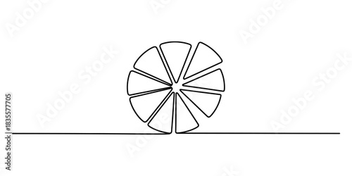 Continuous line drawing of a fresh citrus fruit slice with clear segments and a straight horizontal line below, minimalist artistic design. Vector, illustration